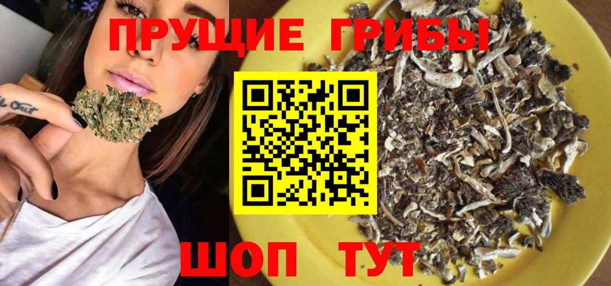Галлюциногенные грибы MAGIC MUSHROOMS  Вход с VPN  Мыски 
